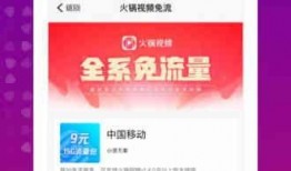 一起火锅吧爆料视频下载,一场美食与真相的邂逅